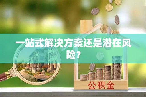 鸡东一站式解决方案还是潜在风险？