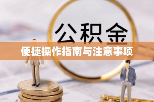 鸡东便捷操作指南与注意事项